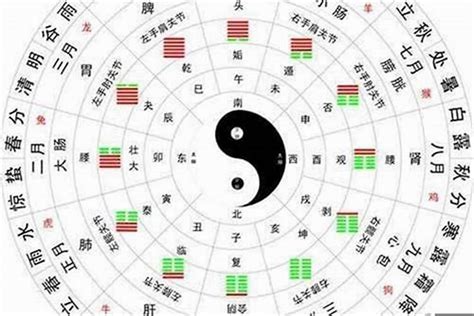 金木水火土号码|金木水火土五行数字表